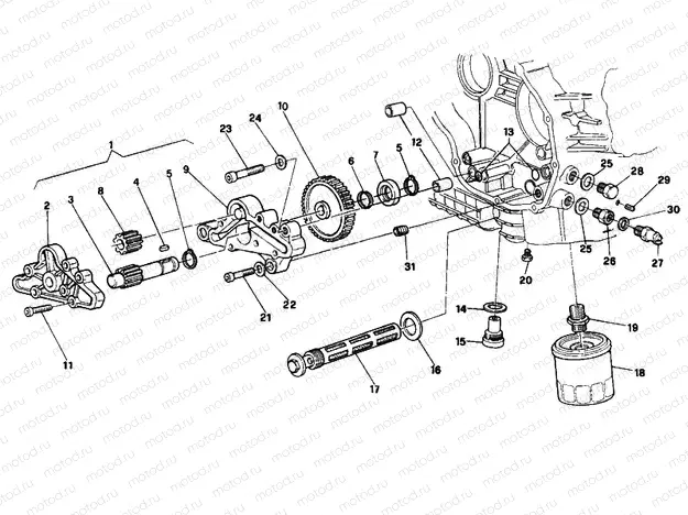 OIL PUMP - FILTER » LUBRICATION SYSTEM