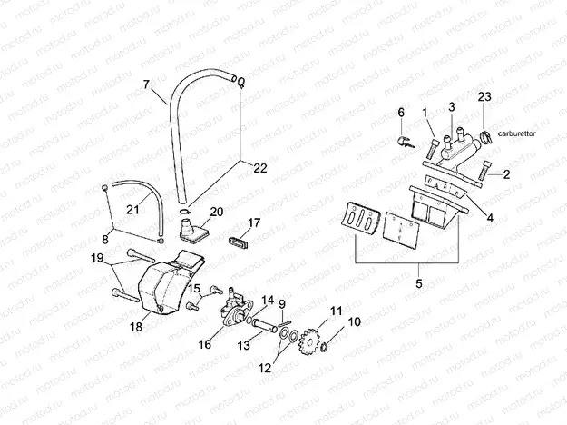 Oil pump - Manifold