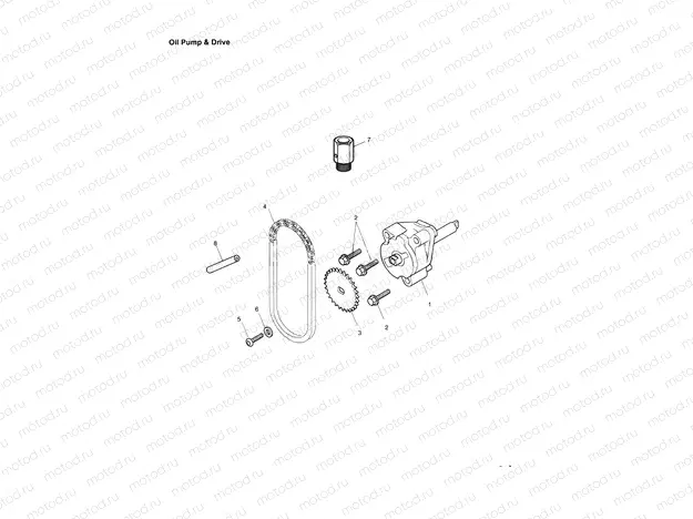 Oil Pump/Drive