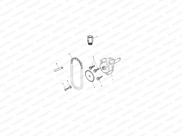 Oil Pump/Drive
