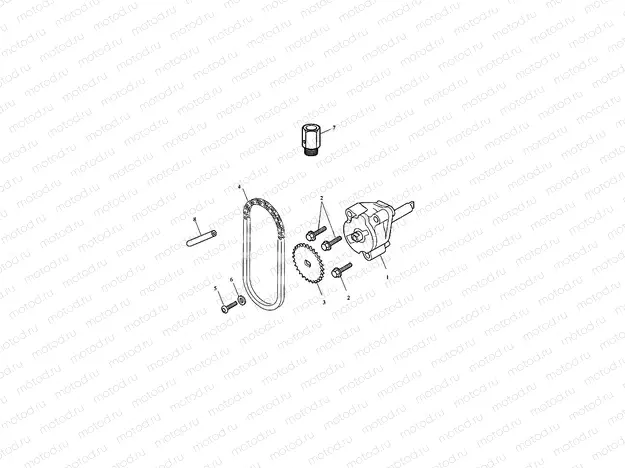Oil Pump/Drive