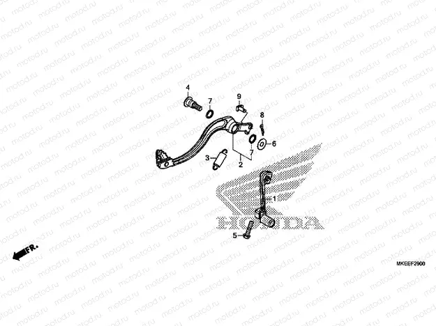 PEDAL