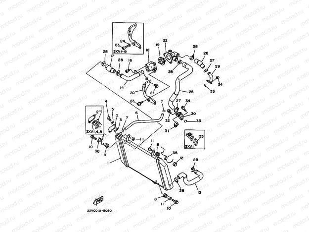 Radiator. Hose 1 (R / RS model)