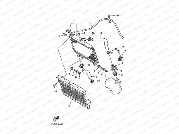 RADIATOR & HOSE