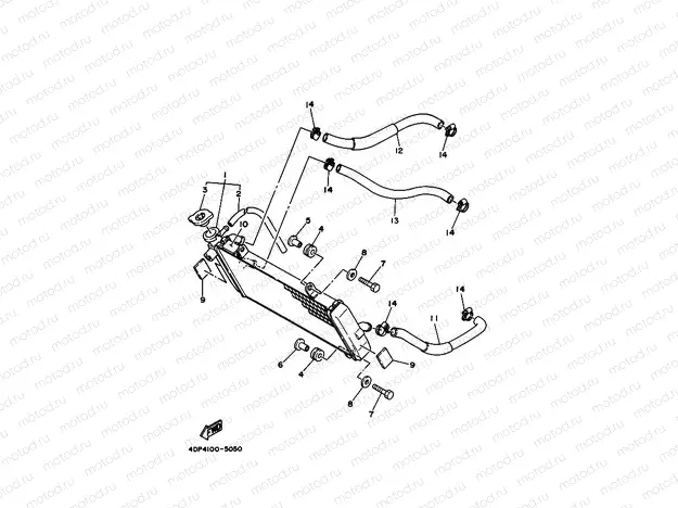 RADIATOR & HOSE