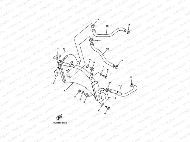 RADIATOR & HOSE