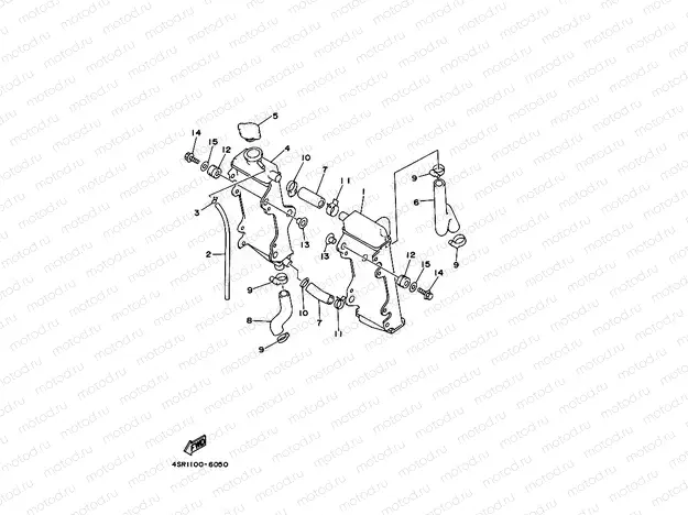 RADIATOR & HOSE