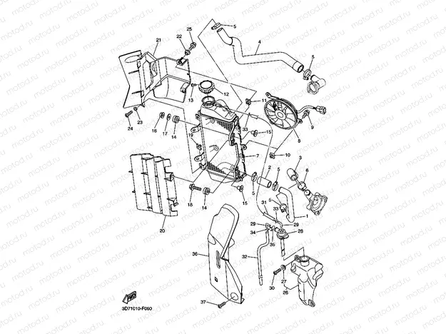 RADIATOR & HOSE