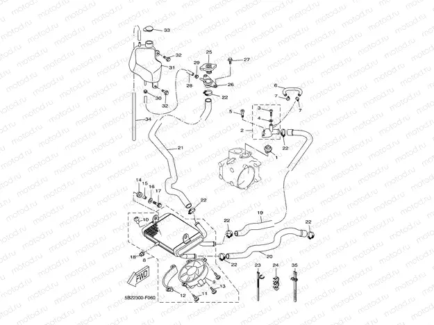 RADIATOR & HOSE