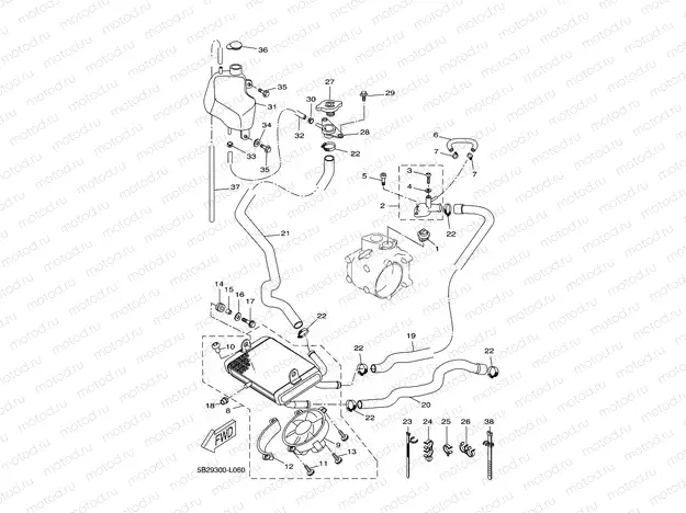 RADIATOR & HOSE
