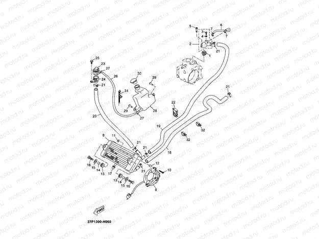 RADIATOR & HOSE