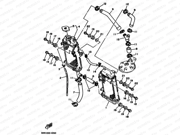 RADIATOR & HOSE