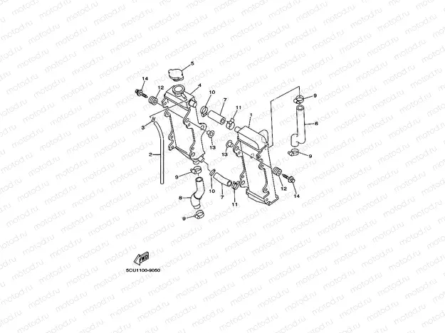 RADIATOR & HOSE