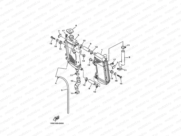 RADIATOR & HOSE
