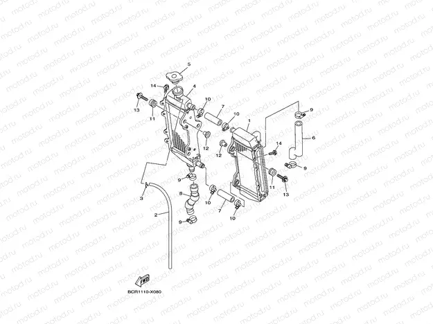 RADIATOR & HOSE