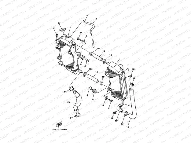 RADIATOR & HOSE