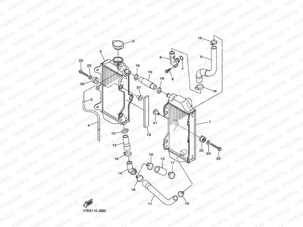 RADIATOR & HOSE
