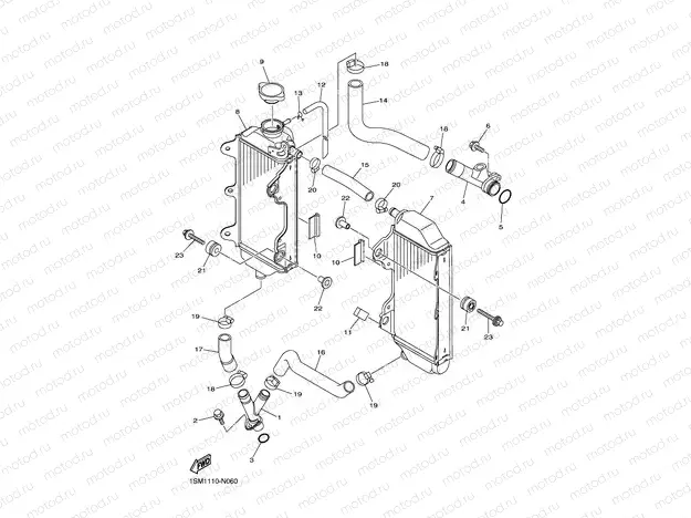 RADIATOR & HOSE