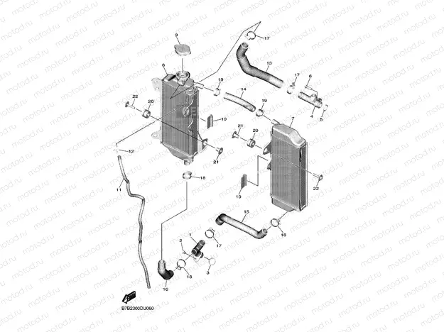 RADIATOR & HOSE