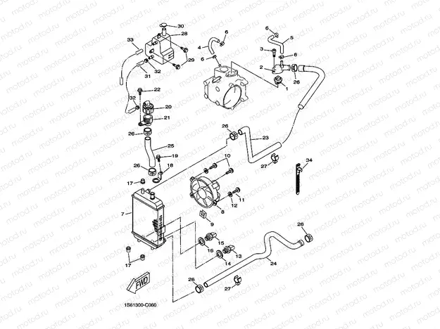 RADIATOR & HOSE