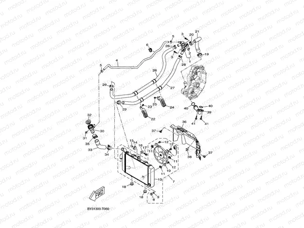 RADIATOR & HOSE