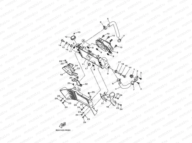 RADIATOR & HOSE