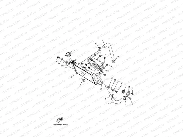 RADIATOR & HOSE