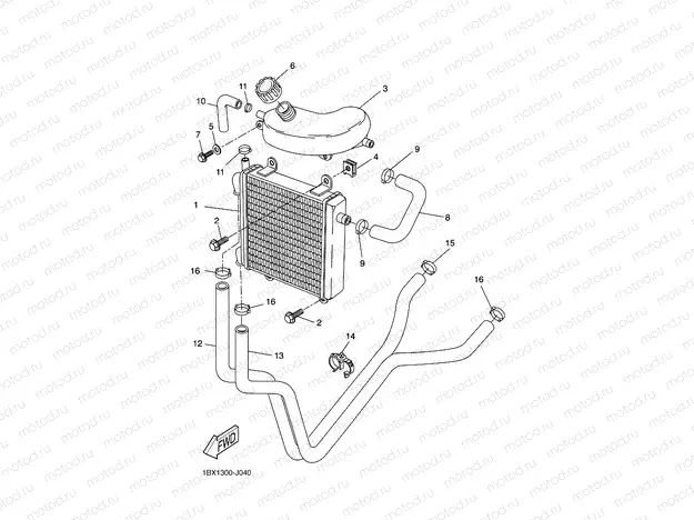 RADIATOR & HOSE