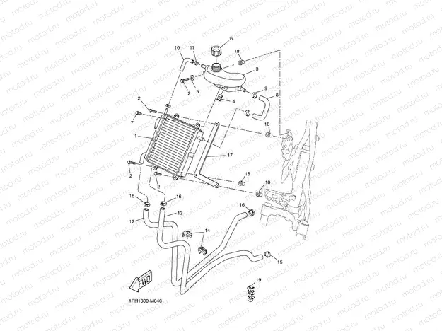 RADIATOR & HOSE