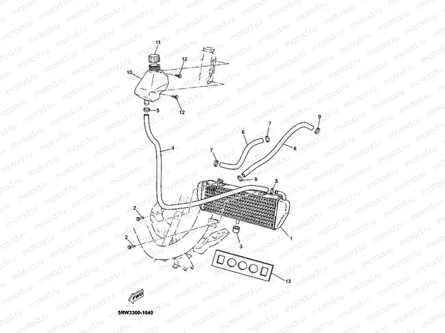 RADIATOR & HOSE