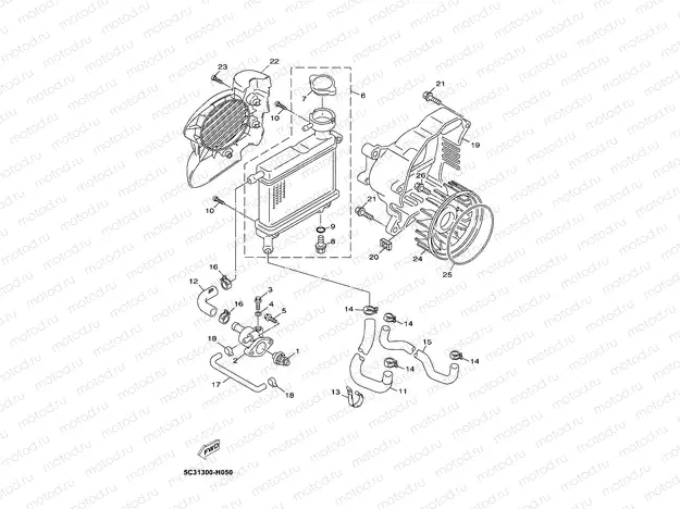RADIATOR & HOSE