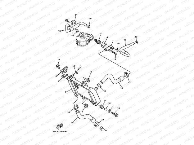 Radiator. Hose