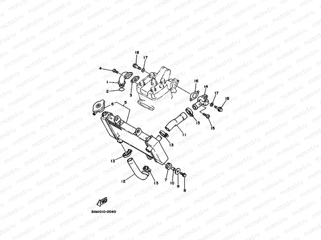 Radiator. Hose