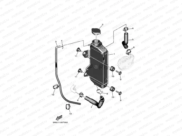 RADIATOR & HOSE
