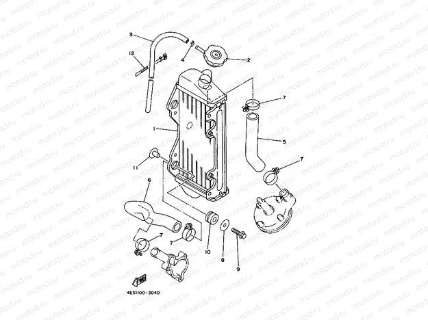 RADIATOR & HOSE