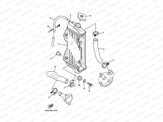 RADIATOR & HOSE