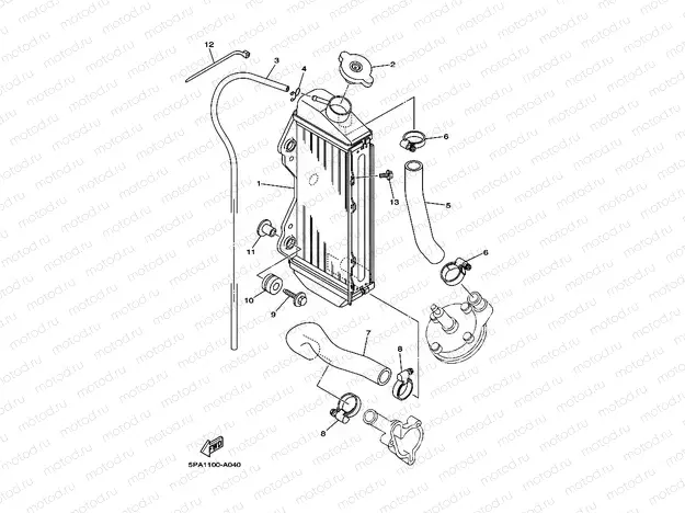 RADIATOR & HOSE