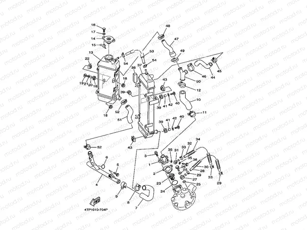 Radiator. Hose