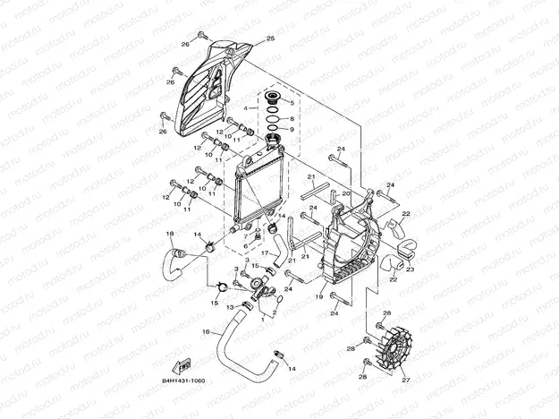 RADIATOR & HOSE