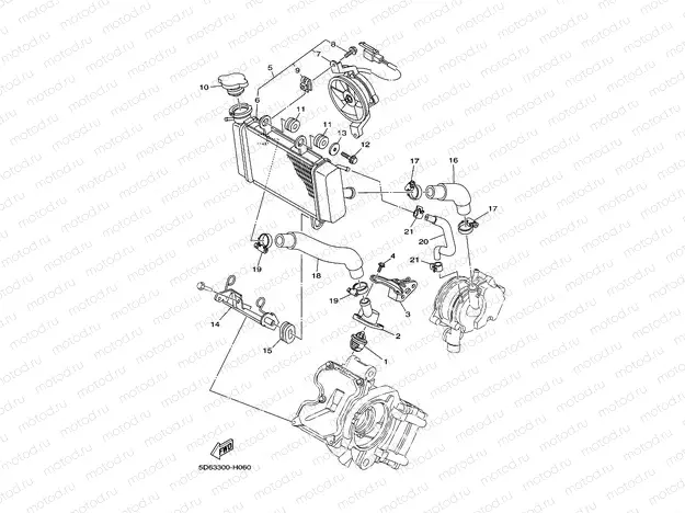 RADIATOR & HOSE
