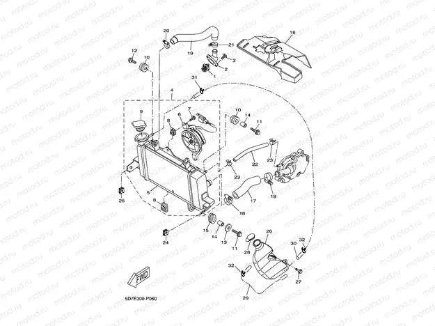RADIATOR & HOSE