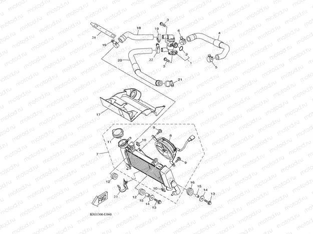 RADIATOR & HOSE