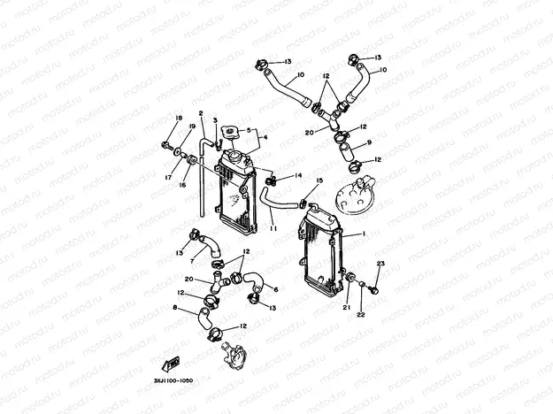RADIATOR & HOSE