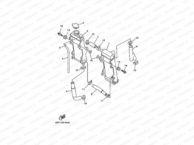 RADIATOR & HOSE