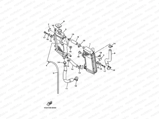 RADIATOR & HOSE