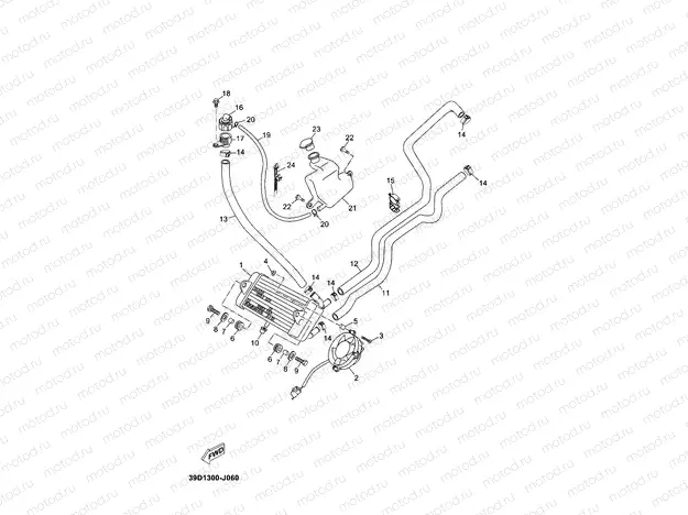 RADIATOR & HOSE