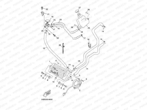 RADIATOR & HOSE