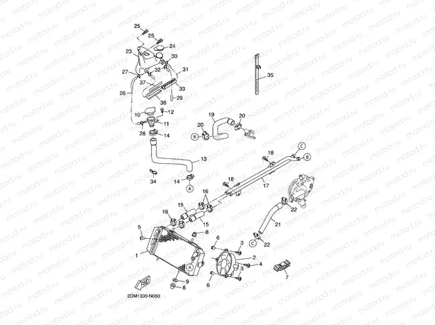 RADIATOR & HOSE