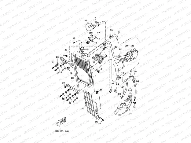 RADIATOR & HOSE