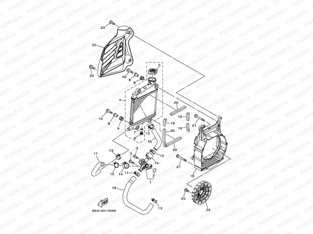 RADIATOR & HOSE